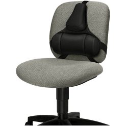 Fellowes Professional Series Back Support with Microban? Protection