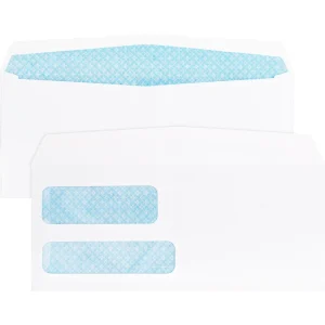 Business Source No. 9 Double Window Invoice Envelopes - 500 Pack