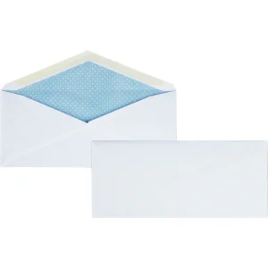 Business Source No.10 Regular Tint Security Envelopes - 500 Pack