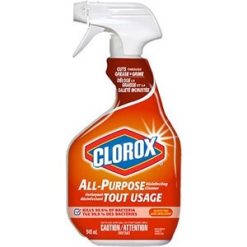 Clorox All Purpose Disinfecting Cleaner Spray