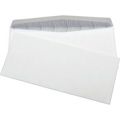 Supremex Security Envelope  - 500 / Box