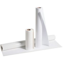 SELECTSOURCE Premium Bond Plotting Paper Roll - 2 / Box