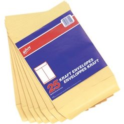 Alternative view of Hilroy Kraft Envelope