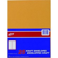 Alternative view of Hilroy Kraft Envelope