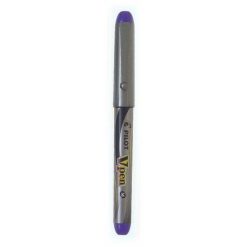 Pilot V Disposable Fountain Pen