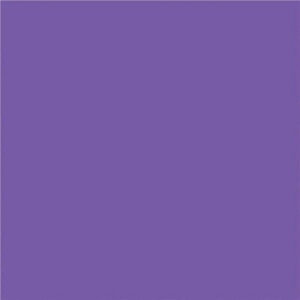 Alternative view of NAPP Construction Paper