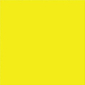 NAPP Construction Paper