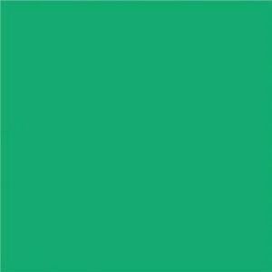 Alternative view of NAPP Construction Paper