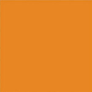 Alternative view of NAPP Construction Paper