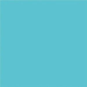 Alternative view of NAPP Construction Paper
