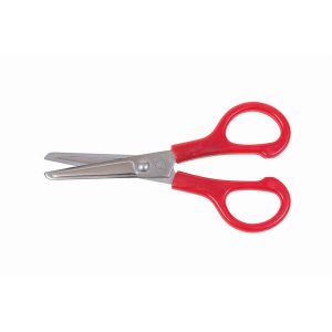 Alternative view of Westcott 4 ?" Blunt School Scissors