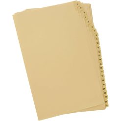 Alternative view of Davis Group Index Divider