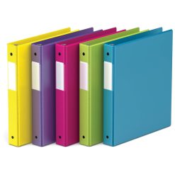 Alternative view of Davis Group Ring Binder