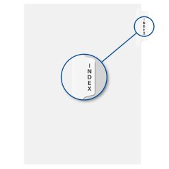 Alternative view of Davis Group Index Divider - 25 / Pack